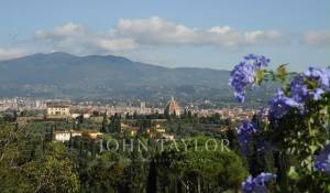 Аренда Апартаменты Firenze