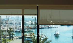 Аренда Апартаменты Palma de Mallorca