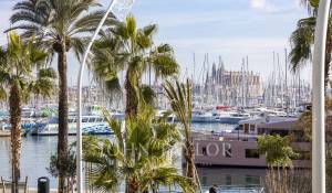 Аренда Апартаменты Palma de Mallorca