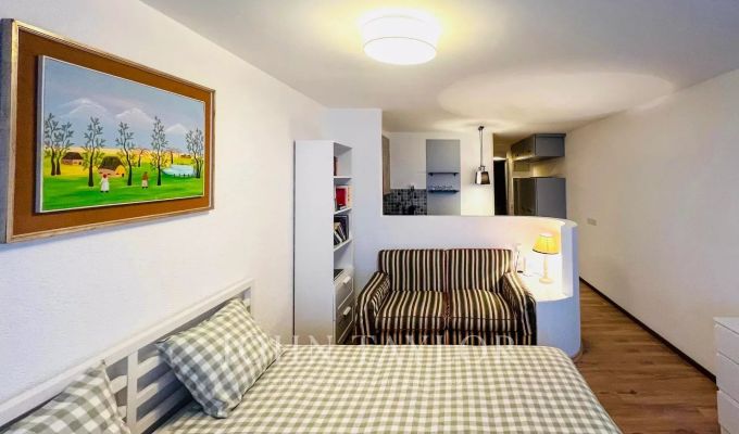 Аренда Студия Crans-Montana