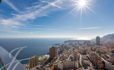 Аренда уровневые апартаменты Monaco