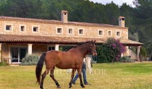 Аренда Вилла Esporles