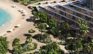 Новостройки Апартаменты Palm Jebel Ali