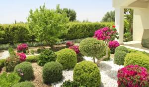 Новостройки Жилой комплекс Paphos