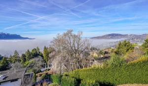 Продажа Апартаменты Brent