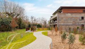 Продажа Апартаменты Cologny