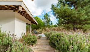 Продажа Апартаменты Grândola e Santa Margarida da Serra