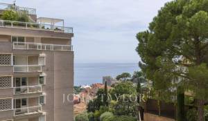 Продажа Апартаменты Monaco