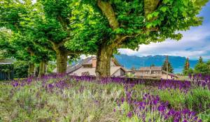 Продажа Апартаменты Montreux