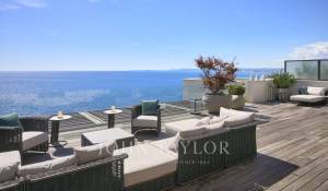 Продажа Апартаменты-вилла Nice