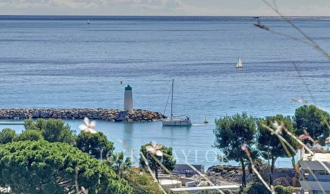 Продажа Апартаменты Villeneuve-Loubet