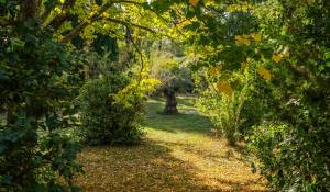 Продажа Дом Aix-en-Provence
