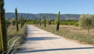 Продажа Дом Cabrières-d'Avignon