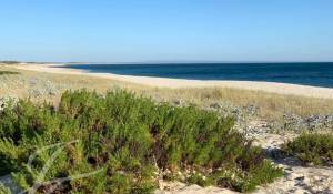 Продажа Дом Carvalhal