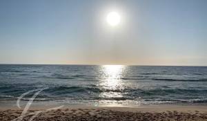 Продажа Дом Carvalhal