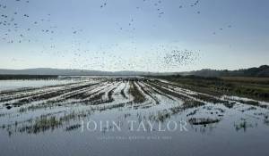 Продажа Дом Carvalhal