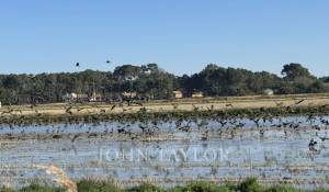 Продажа Дом Carvalhal