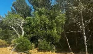 Продажа Дом Cascais e Estoril