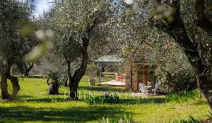 Продажа Дом Grasse