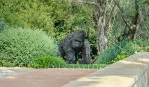 Продажа Дом Grasse