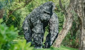 Продажа Дом Grasse