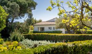 Продажа Дом Les Portes-en-Ré