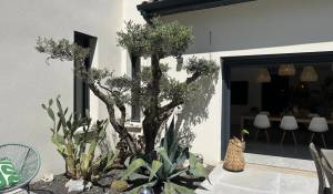 Продажа Дом Maillane