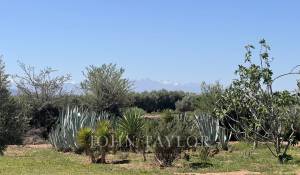 Продажа Дом Marrakech