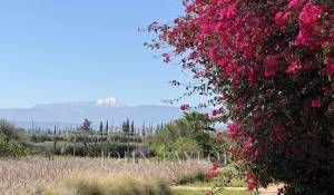 Продажа Дом Marrakech