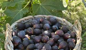 Продажа Дом Mouans-Sartoux