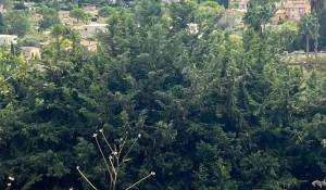 Продажа Дом Mougins