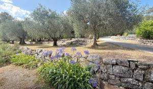 Продажа Дом Opio