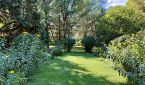 Продажа Дом Orgon