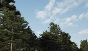 Продажа Дом Roca Llisa