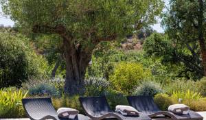 Продажа Дом Roquefort-les-Pins