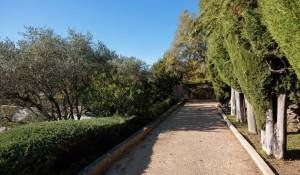 Продажа Дом Vence