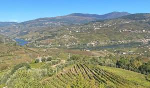 Продажа Ферма Cambres