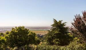 Продажа Ферма Vila Franca de Xira