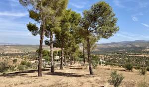 Продажа Городской особняк Marrakech