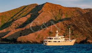 Продажа Яхта 