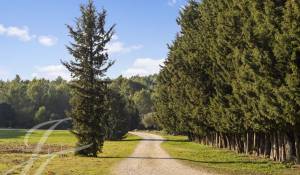 Продажа Конно-спортивный комплекс Barbentane