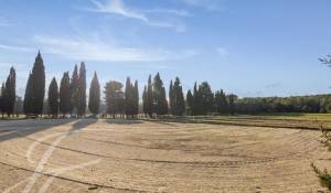 Продажа Конно-спортивный комплекс Barbentane