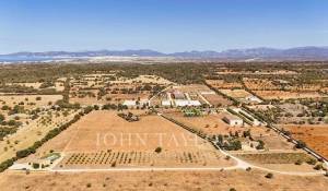 Продажа Конно-спортивный комплекс Llucmajor