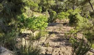 Продажа Коттедж Santa Eularia des Riu