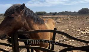 Продажа Кровать и завтрак Mahón