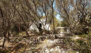 Продажа Кровать и завтрак Mahón