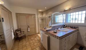 Продажа Мас, типичный южный дом L'Isle-sur-la-Sorgue