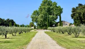 Продажа Мас, типичный южный дом L'Isle-sur-la-Sorgue