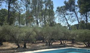 Продажа Мас, типичный южный дом Saint-Rémy-de-Provence