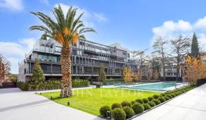 Продажа Пентхаус Madrid